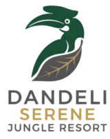 Dandeli Serene Jungle Resort