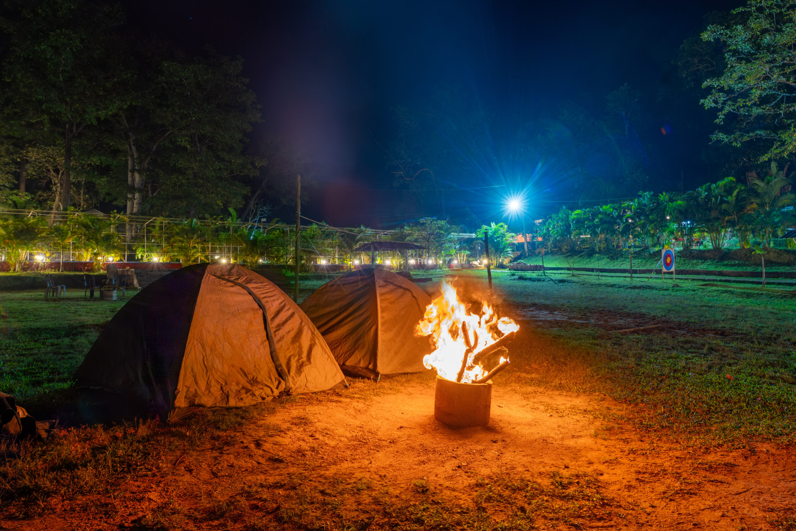 pexels-christina99999-34427611